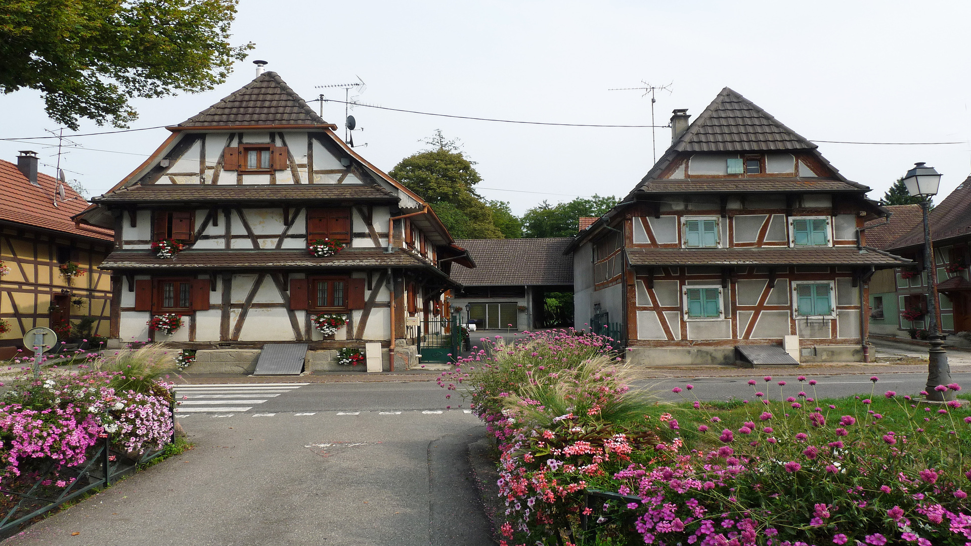 Diagnostic Immobilier à Hirtzbach : Faites Confiance à Bimmo Diagnostic 🏠🔍