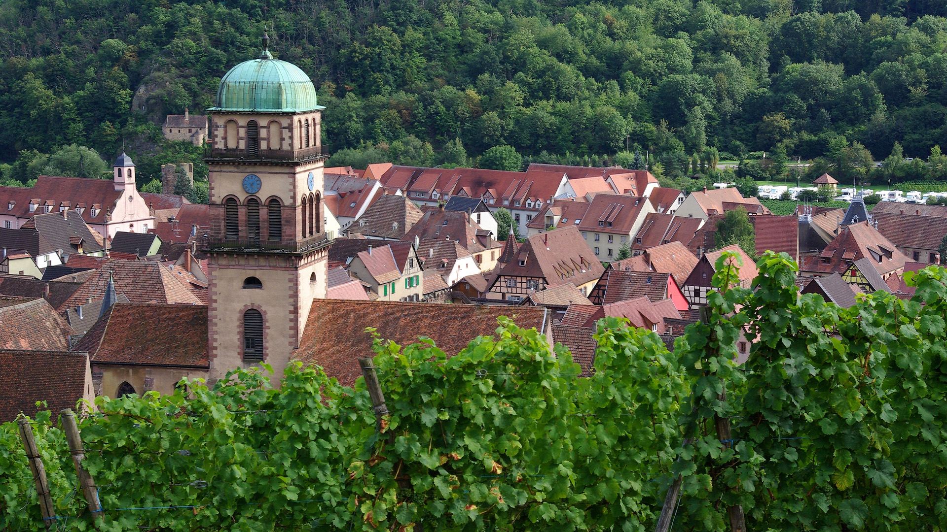 Diagnostic Immobilier à Kaysersberg Vignoble : Faites Confiance à Bimmo Diagnostic 🏠🔍