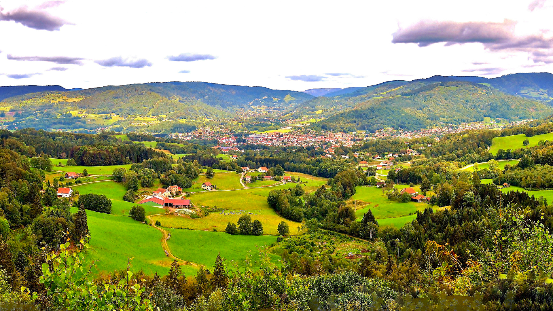 Diagnostic Immobilier à Le Thillot : Faites Confiance à Bimmo Diagnostic