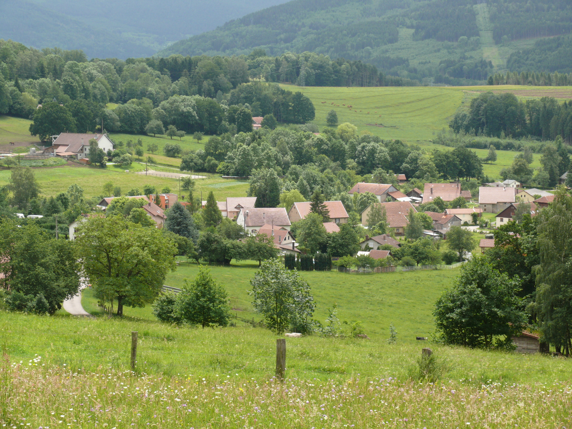 Diagnostic Immobilier à Anould : Faites Confiance à Bimmo Diagnostic